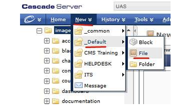 Screen shot of CMS drop down menu to navigate to uploading a new file