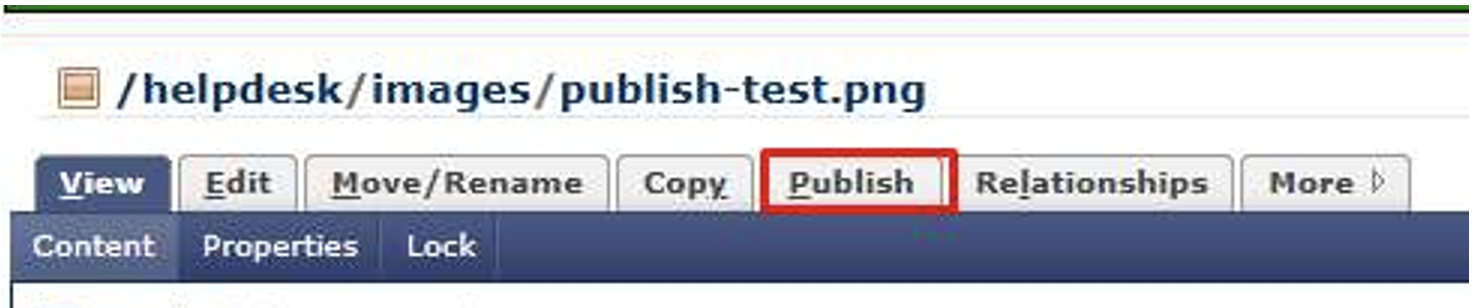 Screen shot of CMS tabs in order to publish the newly uploaded image