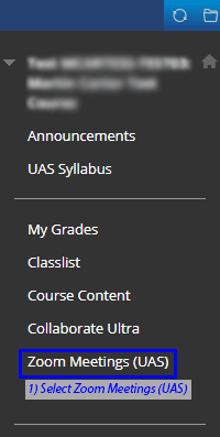 Select Zoom Meetings (UAS) from the left navigaiton menu