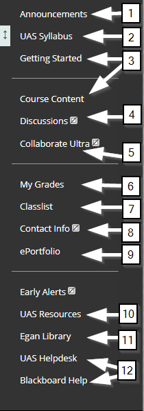 a list of links in Blackboard course navigation pane