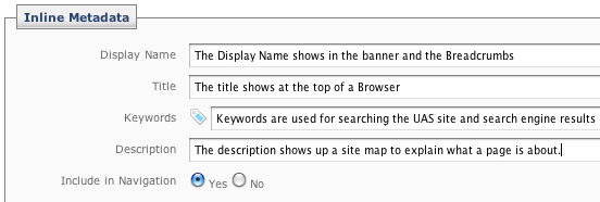 Inline metadata